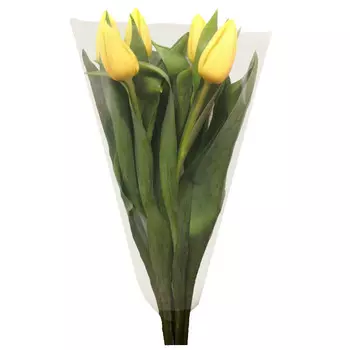 тюльпан букет 5 шт