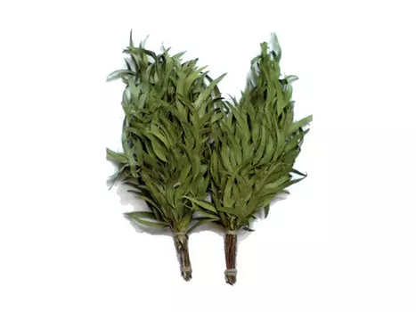 веник эвкалиптовый в уп. Банные штучки