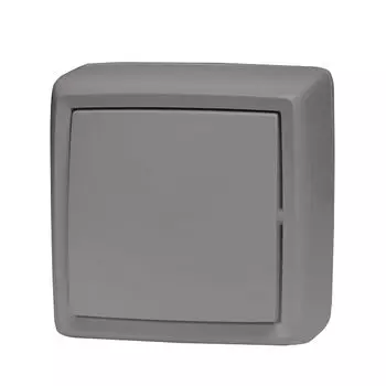 выключатель 1-клавишный DRESDEN 10А серый