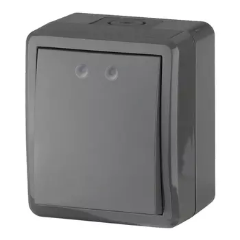 выключатель 1-клавишный ЭРА Эксперт IP54 серый