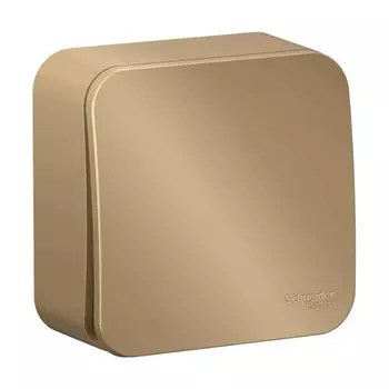 выключатель 1-клавишный SYSTEME ELECTRIC Blanca (cх.1) 10А 250В титан