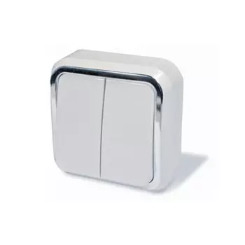 выключатель 2-клавишный Dresden 6А белый/серебро