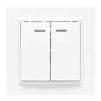 выключатель 2-клавишный EKF Минск 10А с индикатором, белый