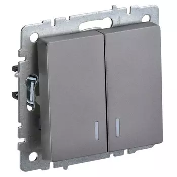 выключатель 2-клавишный IEK BRITE с индикацией 10А сталь