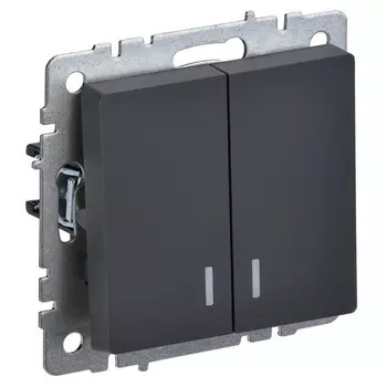 выключатель 2-клавишный IEK BRITE с индикацией 10А графит