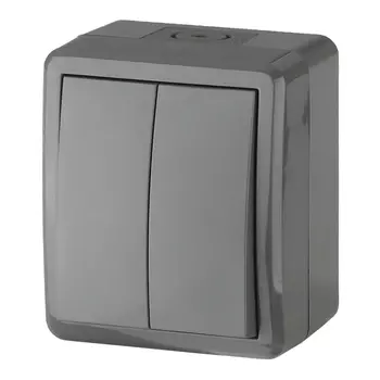 выключатель 2-клавишный ЭРА Эксперт IP54 серый