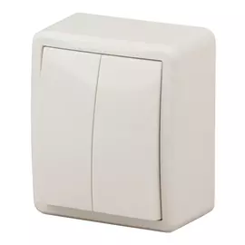 выключатель 2-клавишный Эра Эксперт слоновая кость