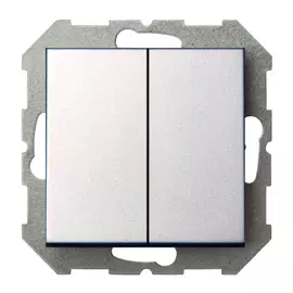 выключатель 2-клавишный LIREGUS Epsilon, серебро