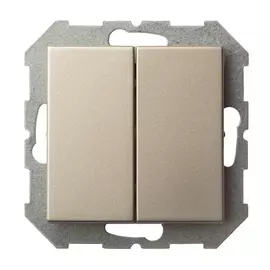 выключатель 2-клавишный LIREGUS Epsilon, шампань
