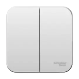 выключатель 2-клавишный SCHNEIDER ELECTRIC Blanca 10A белый