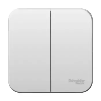 выключатель 2-клавишный SCHNEIDER ELECTRIC Blanca 10A белый