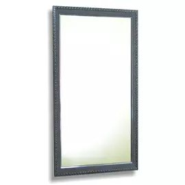 зеркало в раме МОДЕНА 450x900мм серебро пластик