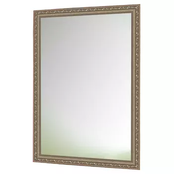 зеркало в раме ЖЕНЕВА 450x900мм серебро пластик