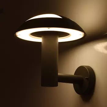 Артикул MW Light 807022401