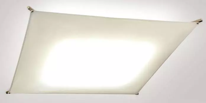 Citilux CL701810B