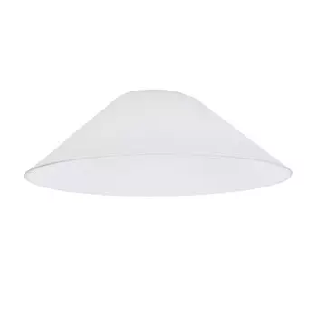 Citilux Эдисон CL450.12