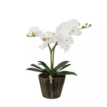 Декоративная лампа Globo Flowerpower 28002