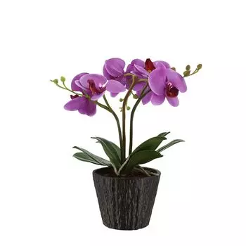 Декоративная лампа Globo Flowerpower 28003