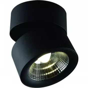 Divinare URCHIN 1295/04 PL-1