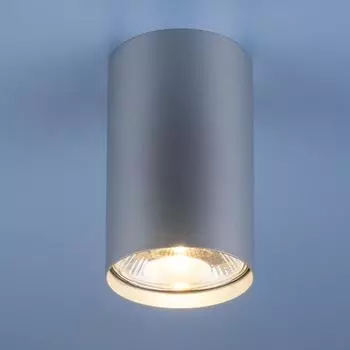 Elektrostandart 6877 6877 SL серебро