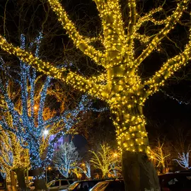 Гирлянда Elektrostandard 400-102 400-102 белый 20м IP65