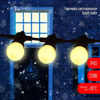Гирлянда ЭРА Белт-лайт ERABL-WS5