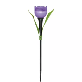 Грунтовый светильник Uniel USL-C-453/PT305 PURPLE TULIP