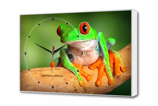 Картина-часы Toplight Животные TL-C5023