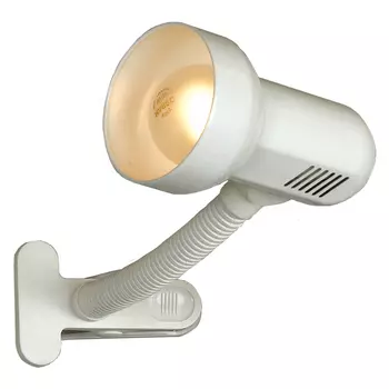 Лампа на прищепке, струбцине Lussole Sofia LST-4954-01