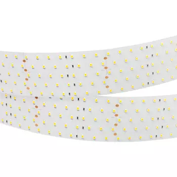 LED лента Arlight RT открытая 025165