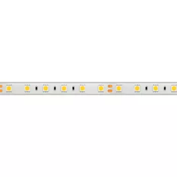 LED лента Arlight RTW герметичная 021398(2)