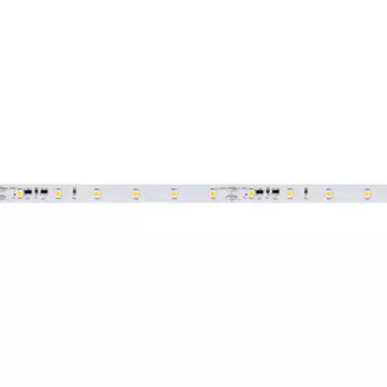 LED лента Arlight Стабилизированная 024990