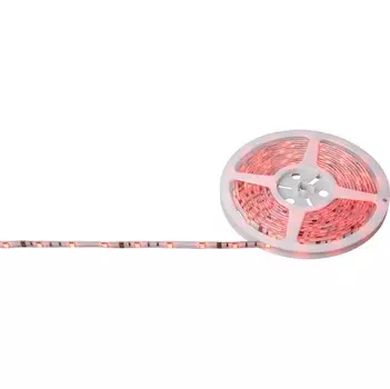 LED лента Globo 38991