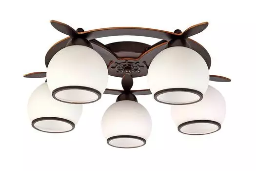 Потолочная люстра Omnilux Fronteira OML-50507-05