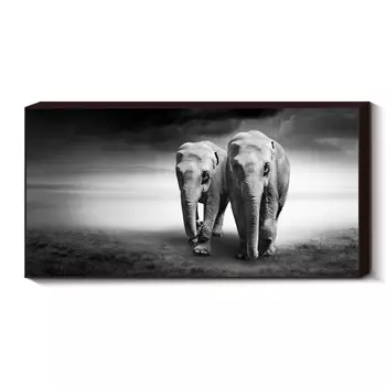 Модульная картина Toplight TL-D4054