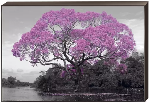 Модульная картина Toplight TL-D4063