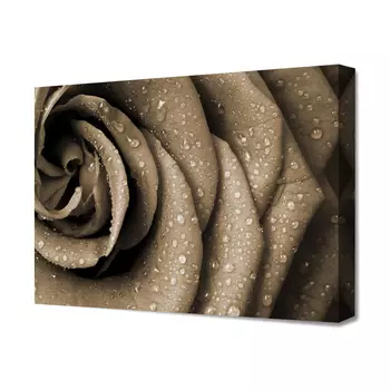 Модульная картина Toplight TL-H3059