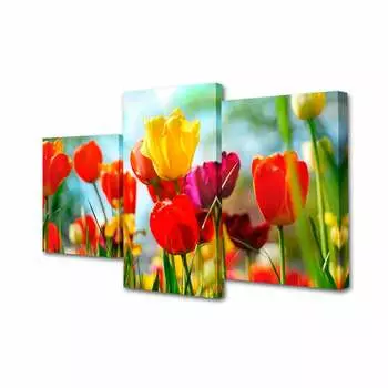 Модульные картины Toplight TL-MM1064