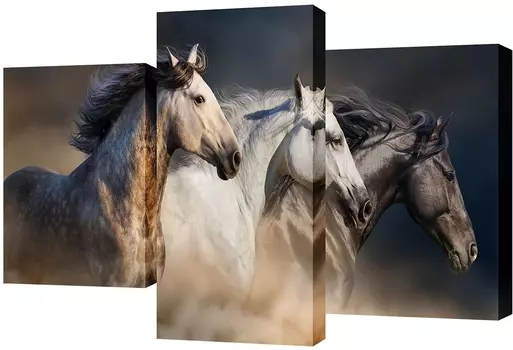 Модульные картины Toplight TL-TM1001