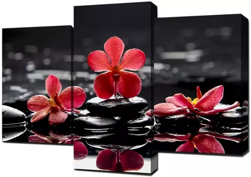 Модульные картины Toplight TL-TM1003