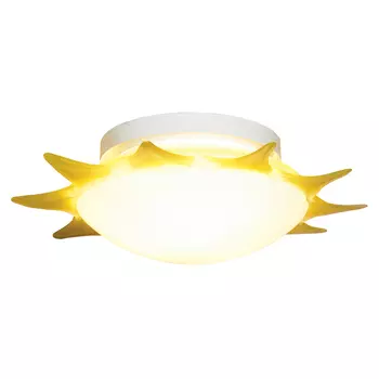Н/П светильники детский Lussole Meda LSA-1152-03