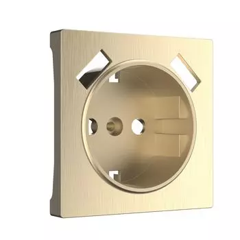 Накладка на механизм Werkel W1179510/ Накладка для розетки USB (шампан