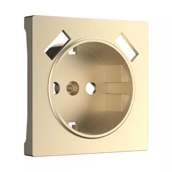 Накладка на механизм Werkel W1179511/ Накладка для розетки USB (шампан