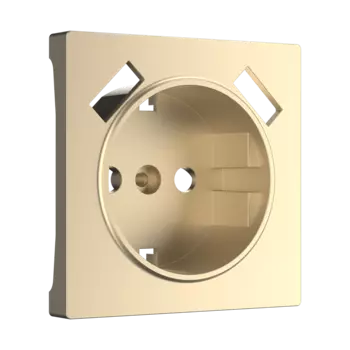 Накладки на механизм Werkel Накладка Шампань WL11-USB-CP/ Накладка для
