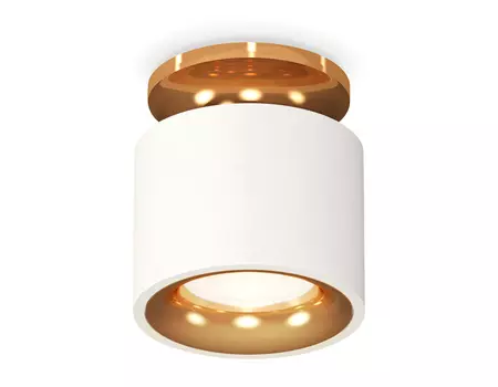 Накладной светильник Ambrella Techno XS7510121