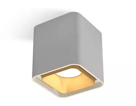 Накладной светильник Ambrella Techno XS7840004