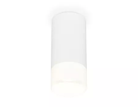Накладной светильник Ambrella Techno XS8161003