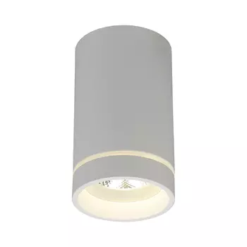 Накладной светильник Aployt Edda APL.0054.09.10