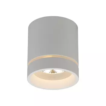 Накладной светильник Aployt Gita APL.0043.09.05