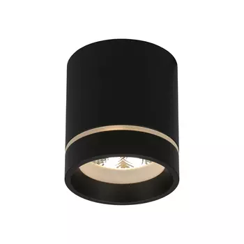 Накладной светильник Aployt Gita APL.0043.19.05